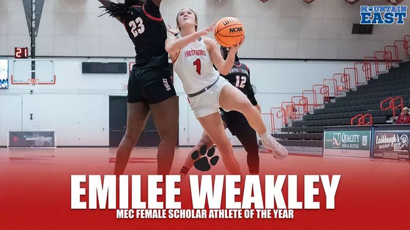 womens basketball player of the year
